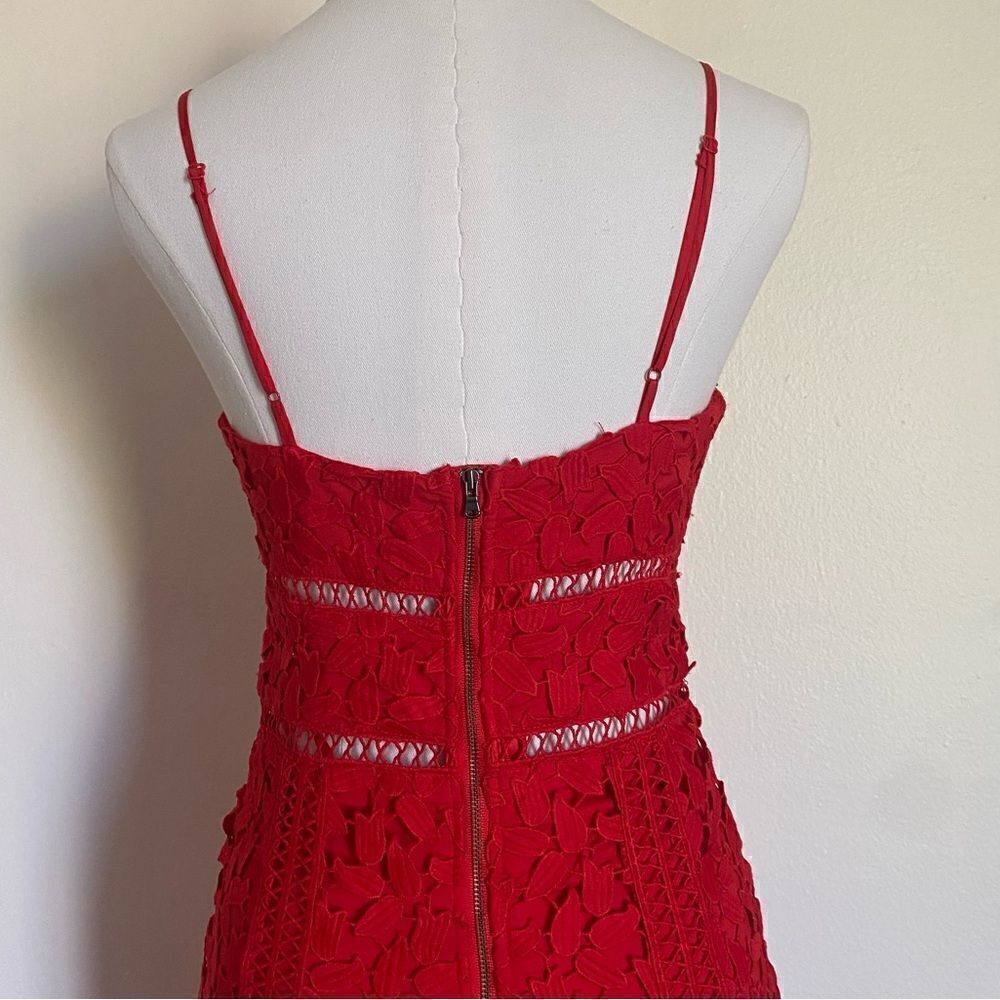 Bardot Red Roxy Leaf Lace Dress Size 4 - Picture 15 of 16